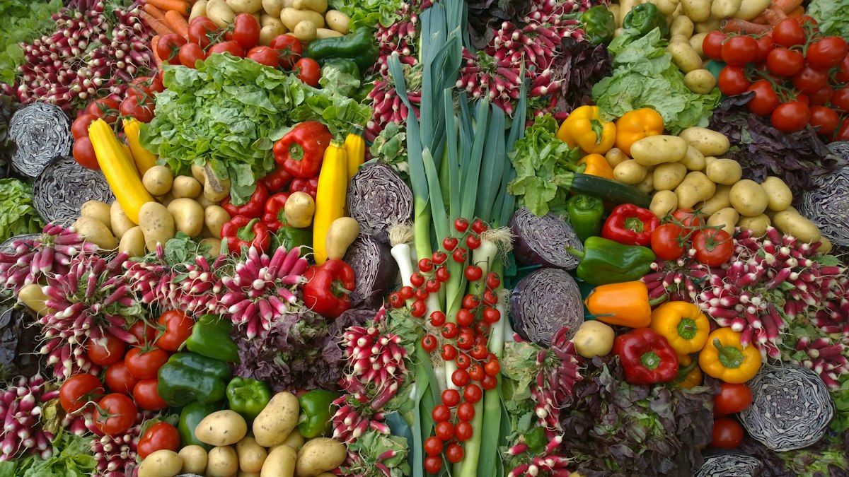 Vitaminas y minerales essenciales para la salud diaria